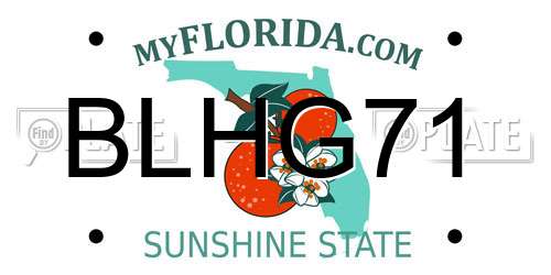 BLHG71 Florida License Plate