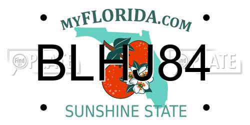BLHJ84 Florida License Plate