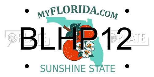 BLHP12 Florida License Plate