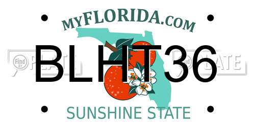 BLHT36 Florida License Plate
