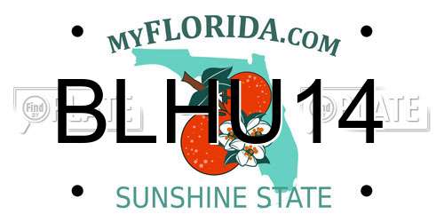 BLHU14 Florida License Plate