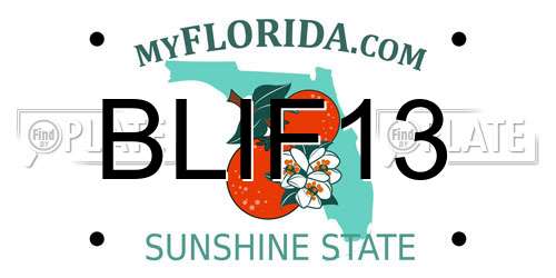 BLIF13 Florida License Plate