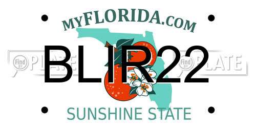 BLIR22 Florida License Plate