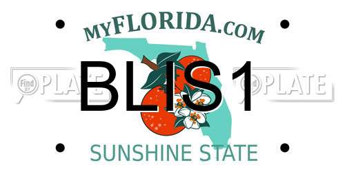 BLIS1 Florida License Plate