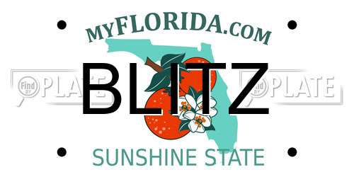 BLITZ Florida License Plate