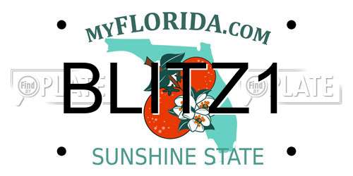 BLITZ1 Florida License Plate