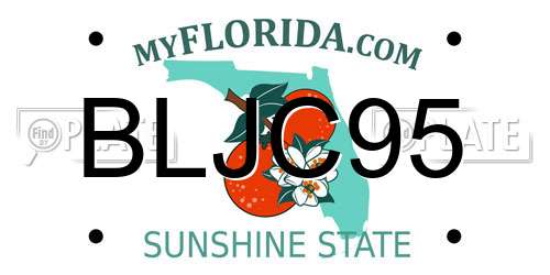 BLJC95 Florida License Plate
