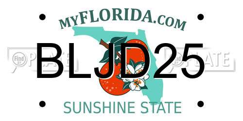 BLJD25 Florida License Plate