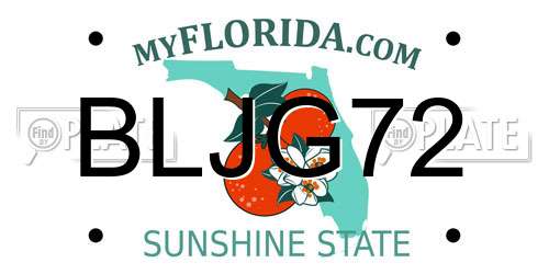 BLJG72 Florida License Plate
