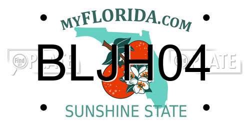 BLJH04 Florida License Plate