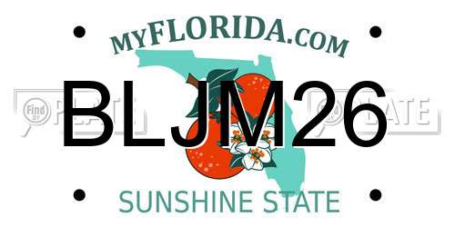 BLJM26 Florida License Plate