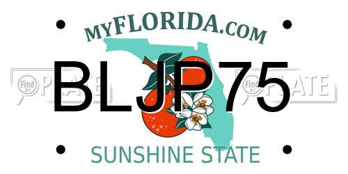BLJP75 Florida License Plate
