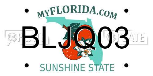 BLJQ03 Florida License Plate