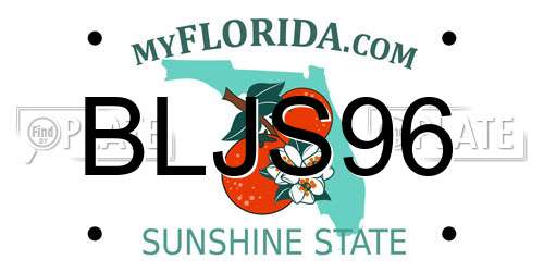 BLJS96 Florida License Plate
