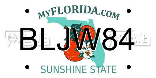 BLJW84 Florida License Plate