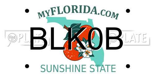 BLK0B Florida License Plate