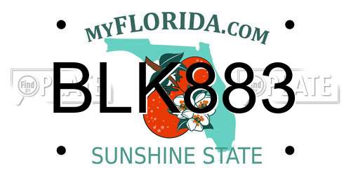 BLK883 Florida License Plate