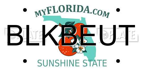 BLKBEUT Florida License Plate