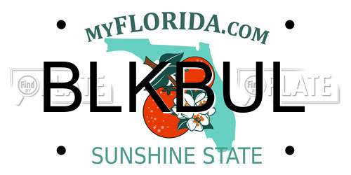 BLKBUL Florida License Plate