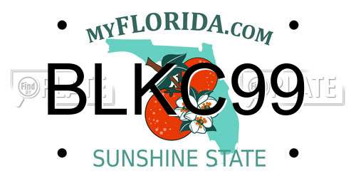 BLKC99 Florida License Plate