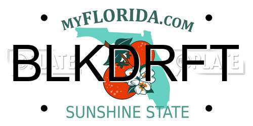 BLKDRFT Florida License Plate