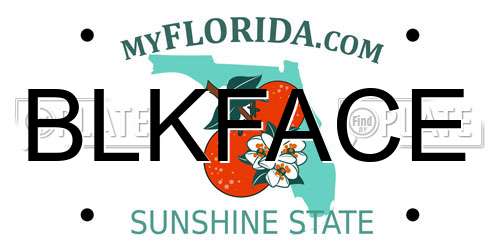 BLKFACE Florida License Plate