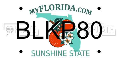 BLKP80 Florida License Plate