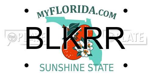 BLKRR Florida License Plate