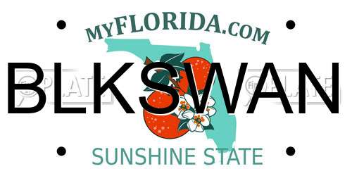 BLKSWAN Florida License Plate