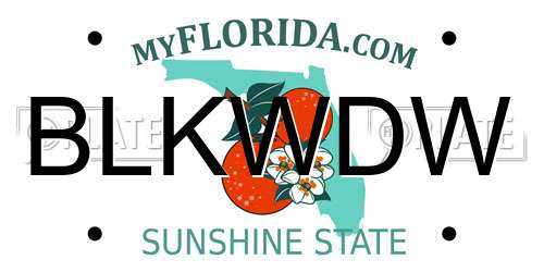 BLKWDW Florida License Plate