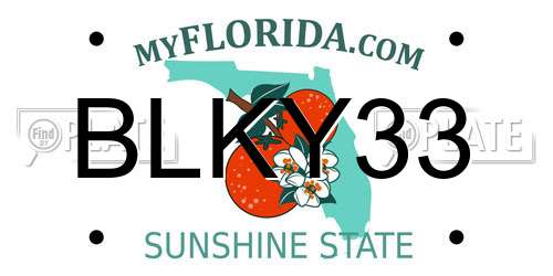 BLKY33 Florida License Plate
