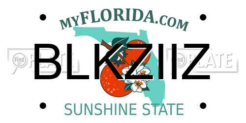 BLKZIIZ Florida License Plate