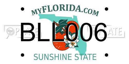 BLL006 Florida License Plate