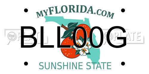 BLL00G Florida License Plate