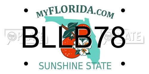 BLLB78 Florida License Plate