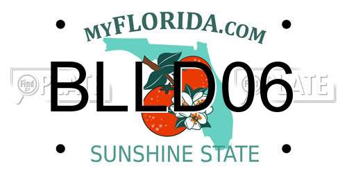 BLLD06 Florida License Plate