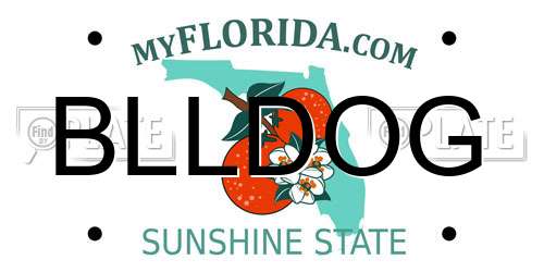 BLLDOG Florida License Plate