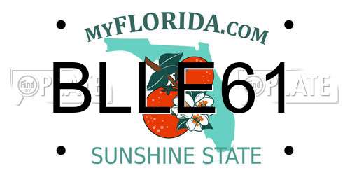 BLLE61 Florida License Plate