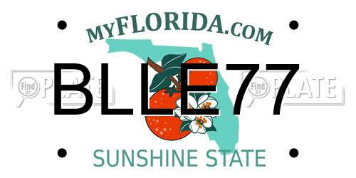 BLLE77 Florida License Plate