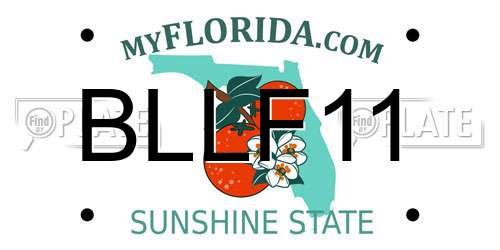 BLLF11 Florida License Plate