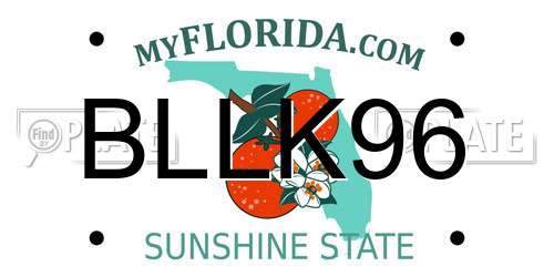BLLK96 Florida License Plate