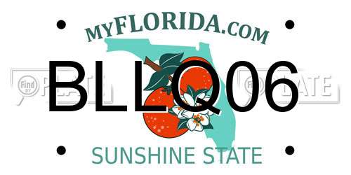 BLLQ06 Florida License Plate