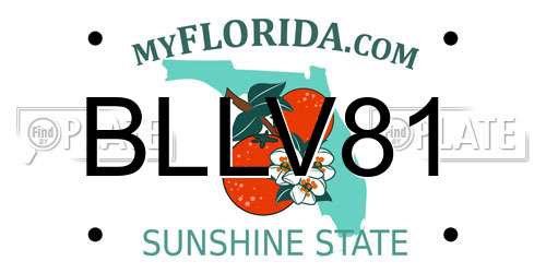 BLLV81 Florida License Plate