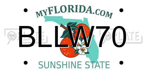 BLLW70 Florida License Plate