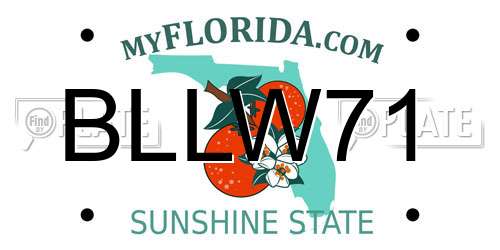 BLLW71 Florida License Plate