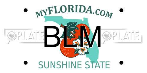 BLM Florida License Plate
