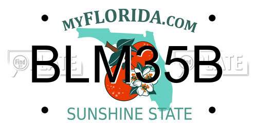 BLM35B Florida License Plate