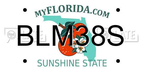 BLM38S Florida License Plate