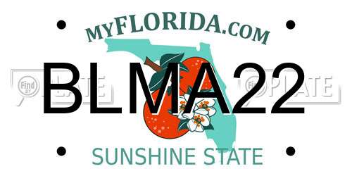 BLMA22 Florida License Plate