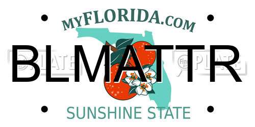 BLMATTR Florida License Plate